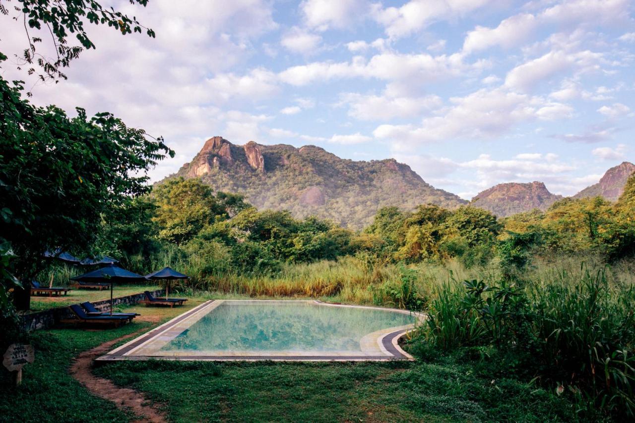 Gal Oya Lodge Galgamuwa  Ngoại thất bức ảnh
